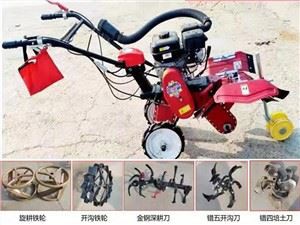 5.5HP 9HP Diesel Motorzada Cultivator / Intercultivator / Power Tiller Bid-Dwal